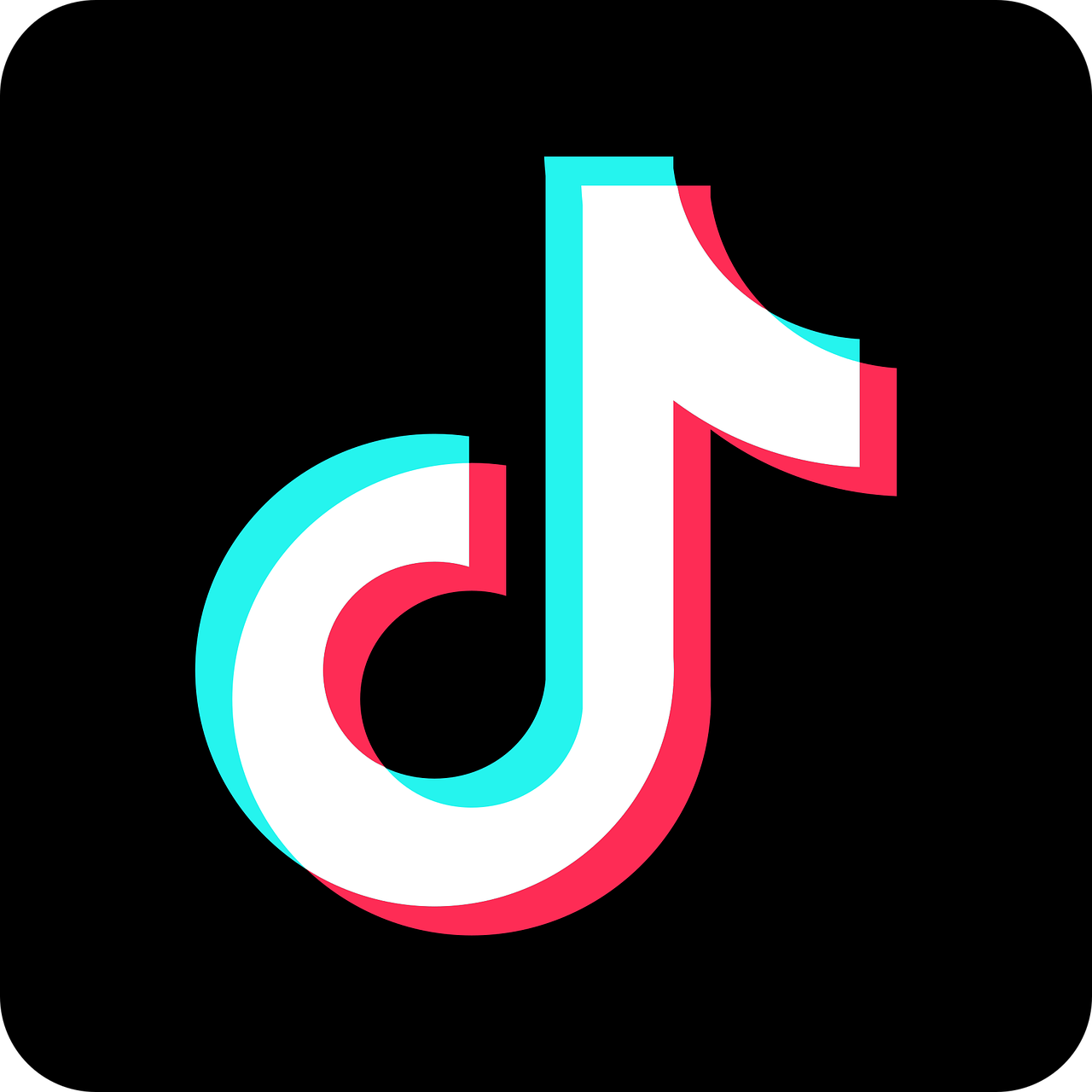 Tik Tok Logo